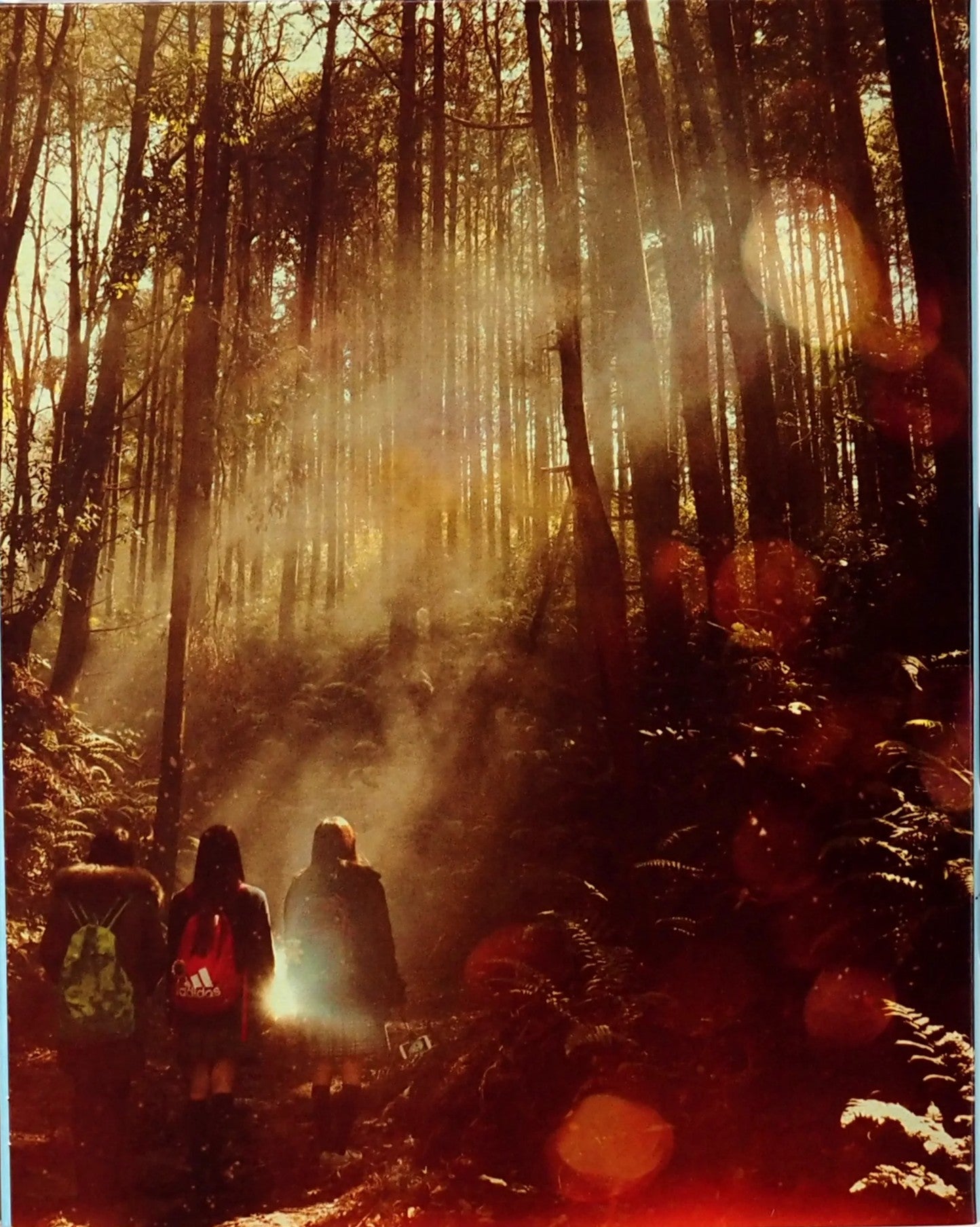 Fuji_Jukai.mov Blu-ray with Limited Edition Slipcover (Bleeding Skull) LIMIT 1 PER CUSTOMER