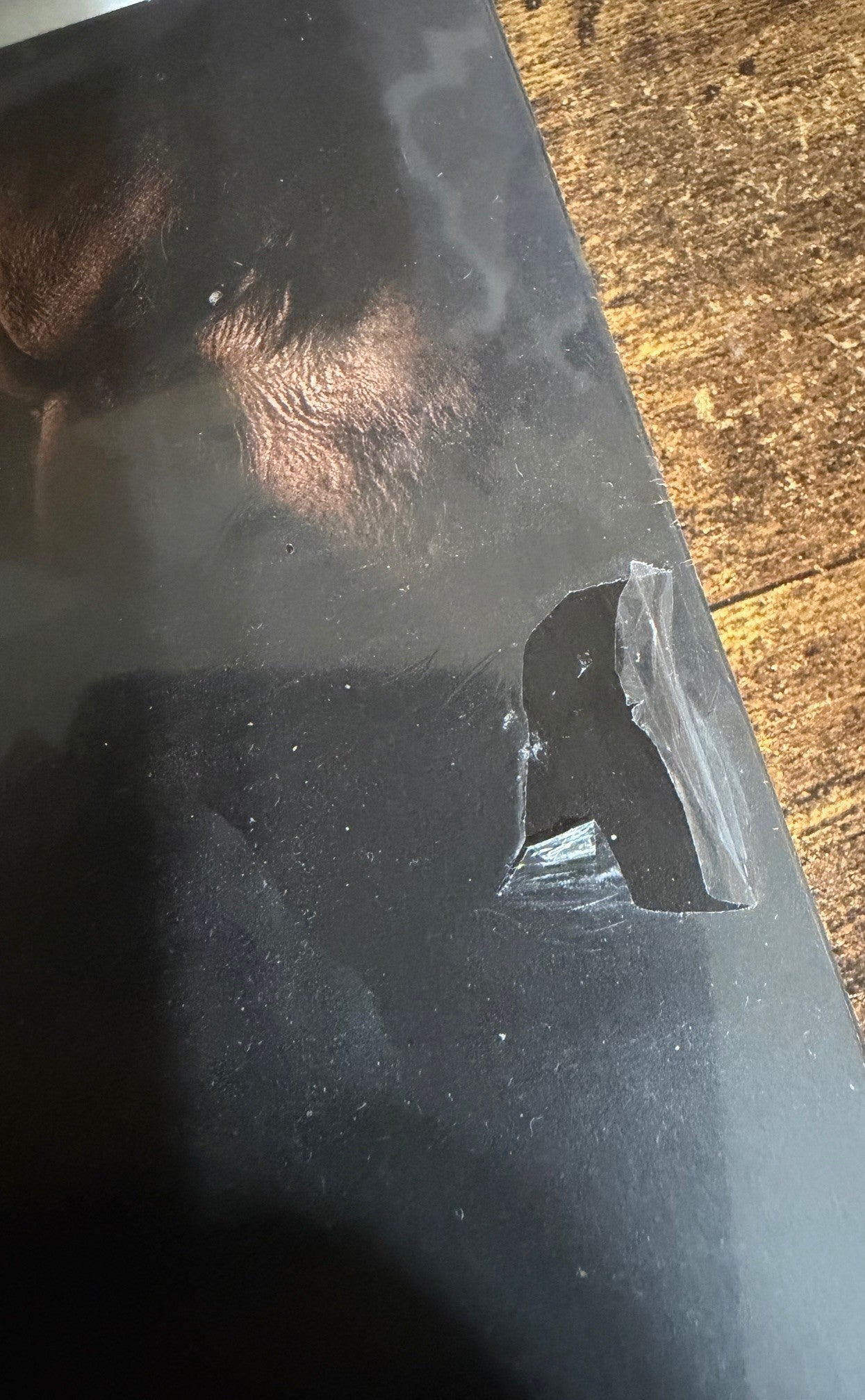 The Penguin Season 1 Limited Edition Steelbook 4K Ultra HD (Warner Bros./Region Free) SMALL CORNER DING ON FRONT (See photo)