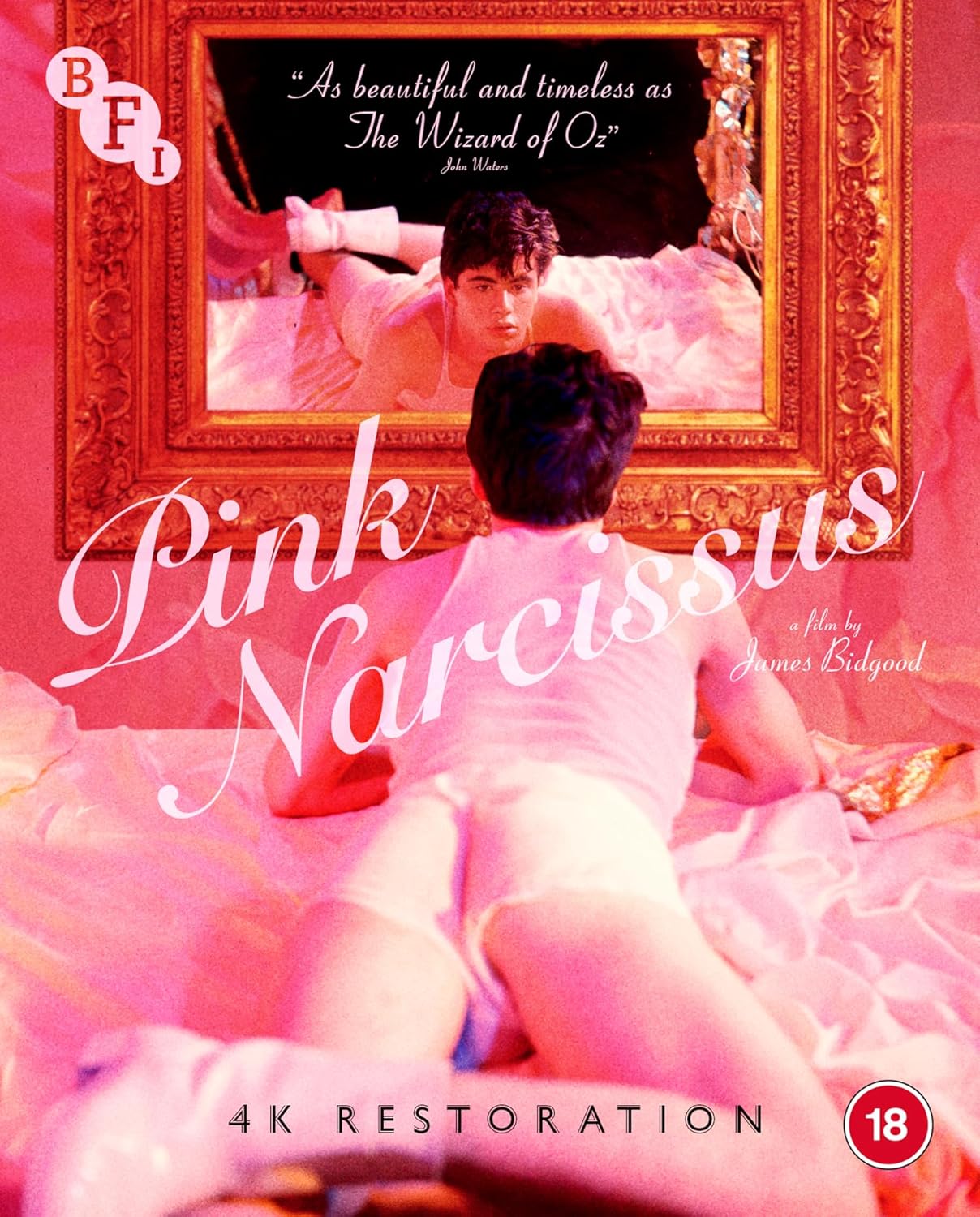 Pink Narcissus Blu-Ray with Booklet (BFI/Region B)