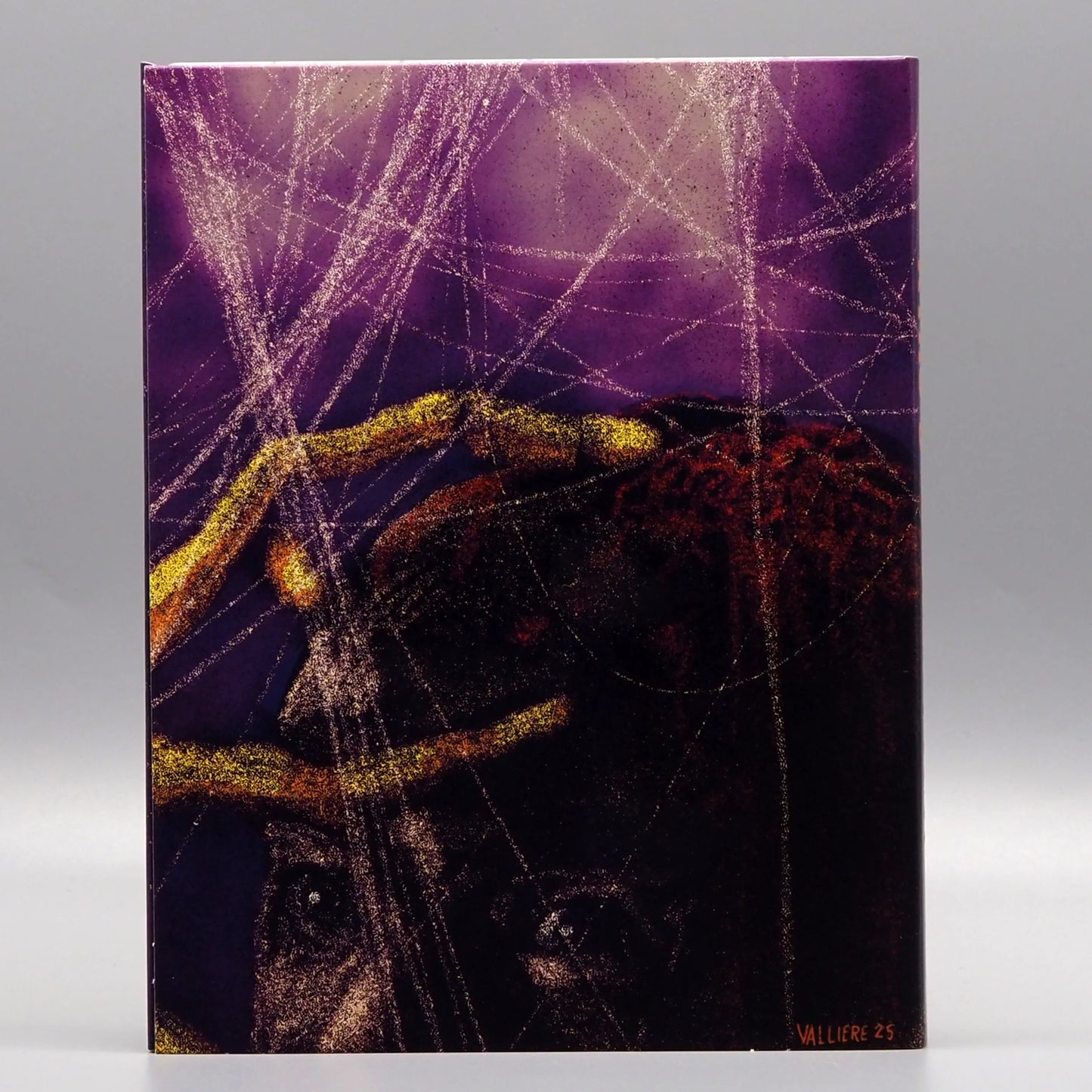 Xtro 3: Watch the Skies Blu-ray + DVD with Limited Edition Slipcover (Vinegar Syndrome) LIMIT 1 PER CUSTOMER