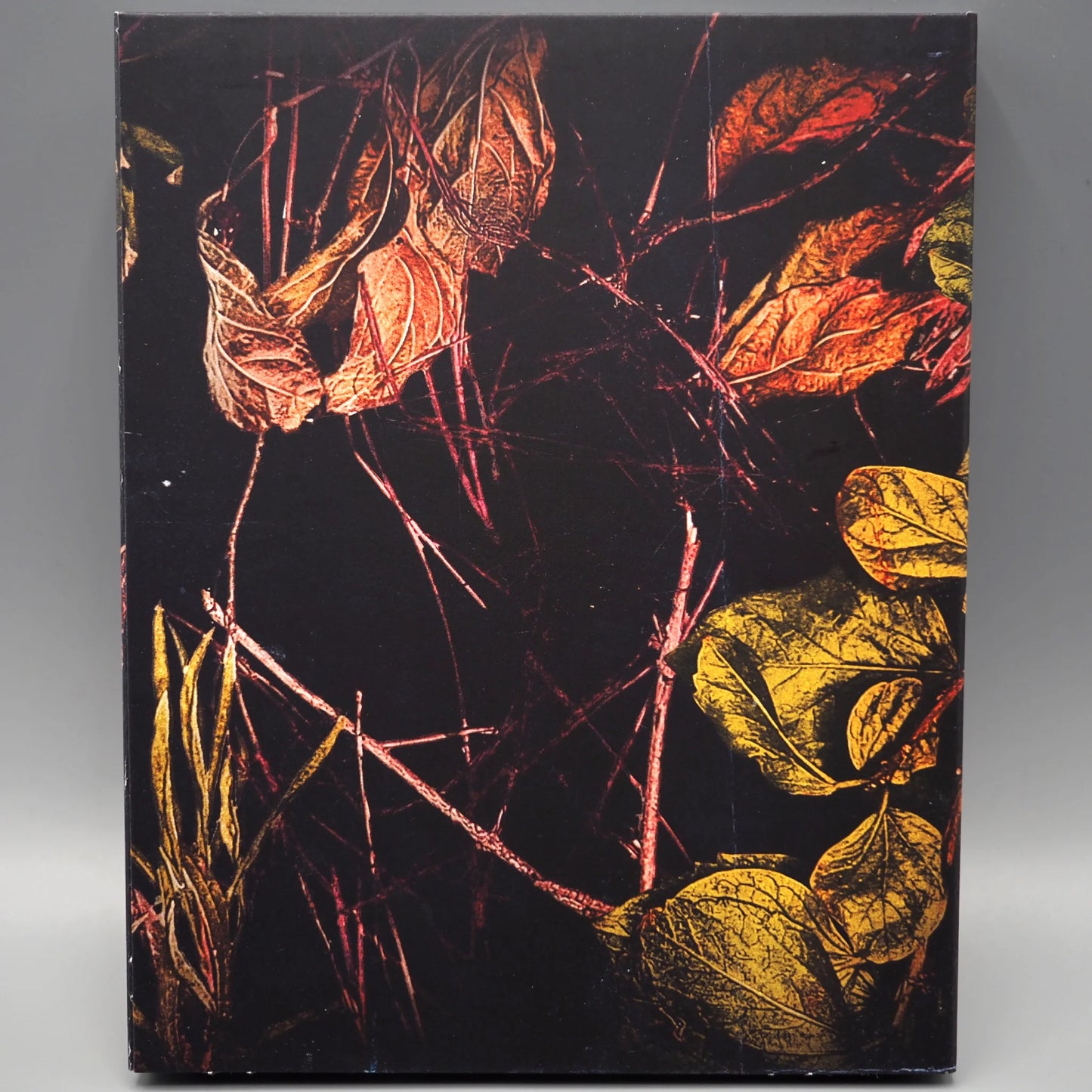 Without Name Blu-ray with Limited Edition Slipcover (Yellow Veil Pictures)