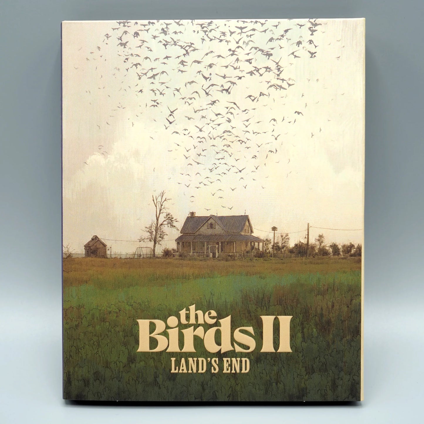 The Birds II: Land's End Blu-ray with Limited Edition Slipcover (VInegar Syndrome)