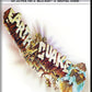 Earthquake 4K UHD + Blu-ray (Universal U.S.) [Preorder]